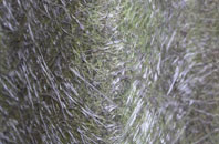 Blacktoft fibreglass roof work